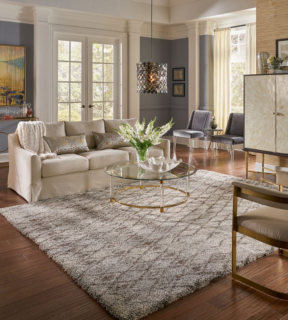 Karastan Area rug in living room | Rockford Floor Covering