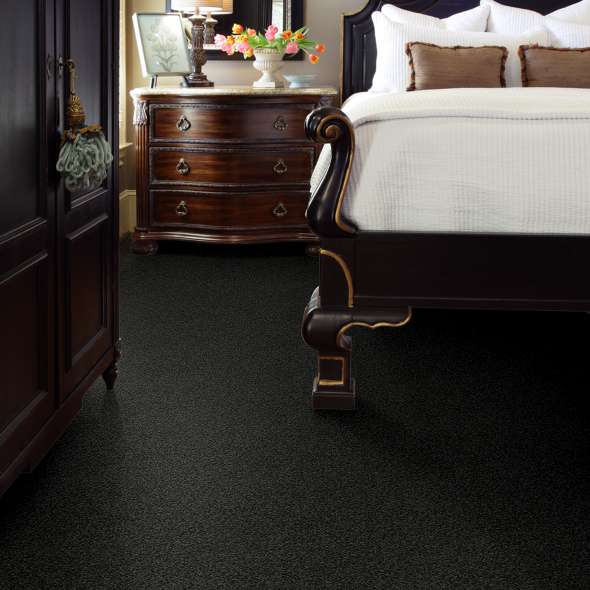 Best Carpet Color | Rockford Floor Covering