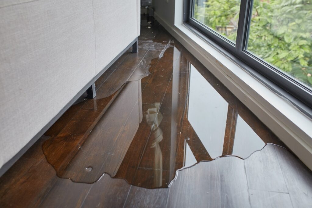 How to Deal with Flood Damage | Rockford Floor Covering